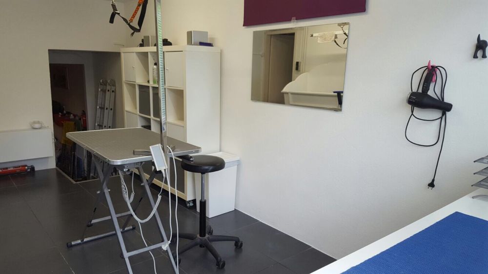 De trimtafel in Hondentrimsalon Favoriet met een verstelbare hydraulische tafel en fohn aan de wand